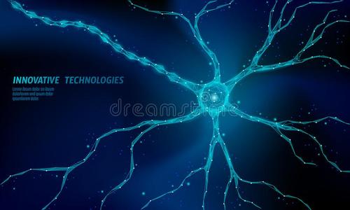AI技术为神经科学研究的加速进展打开了大门