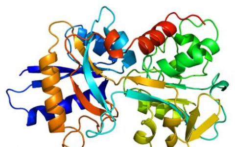 深度学习模型从氨基酸序列预测蛋白质结构