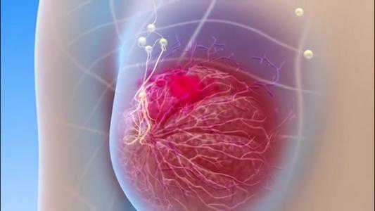 免疫细胞为乳腺干细胞提供摇篮