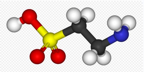 研究发现精子中的牛磺酸缺乏会导致男性不育