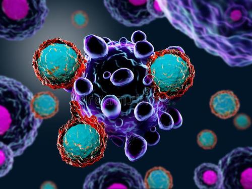 观察T细胞如何将HIV性传播给新宿主