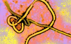 新突破为普及埃博拉治疗铺平了道路