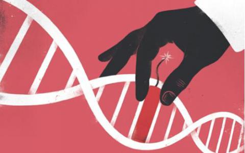CRISPR基因编辑器通常不含RNA