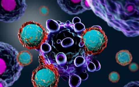 观察T细胞如何将HIV性传播给新宿主