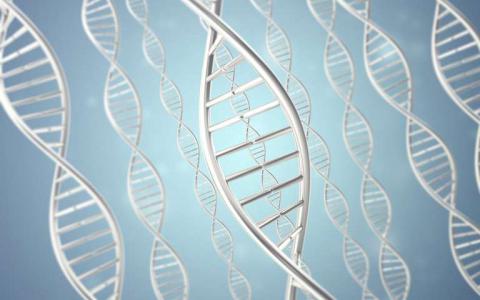 定制的DNA可用作传感器探针