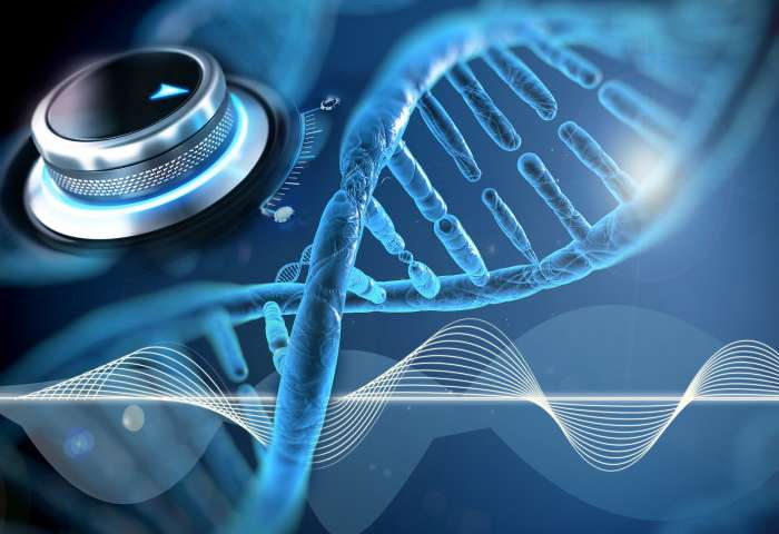 可调节的遗传“时钟”可能会改善生物技术策略