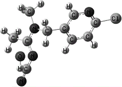 研究新烟碱类杀虫剂作用的研究人员在节肢动物的表现中发挥作用