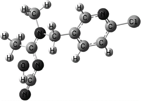 研究新烟碱类杀虫剂作用的研究人员在节肢动物的表现中发挥作用