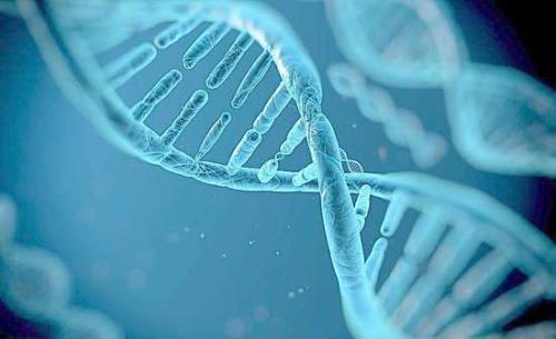 有害的基因突变可能不如我们想象的那么常见