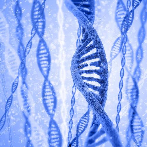 科学家们发现了“垃圾”DNA的作用