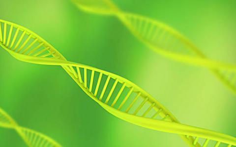 植物DNA如何避免紫外线辐射的破坏