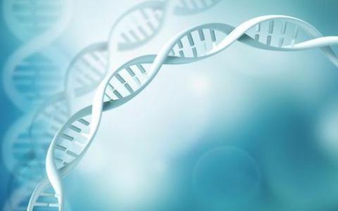 研究揭示了包装和解包DNA的分子马达的内部工作原理