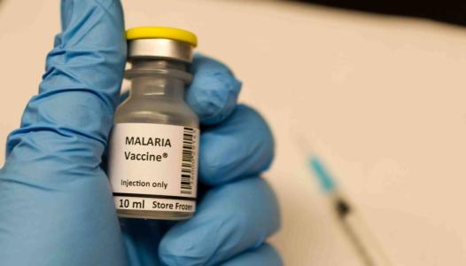20年的疟疾疫苗目标之谜解决了