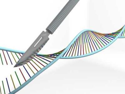 科学家将统计学生物学相结合产生重要的新基因计算工具