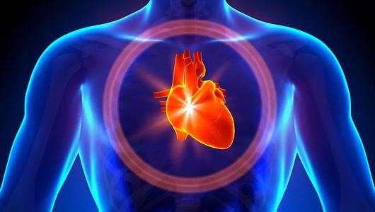 太空飞行激活细胞变化对干细胞心脏修复有影响