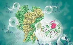 研究人员设计新蛋白质以帮助解决全球问题