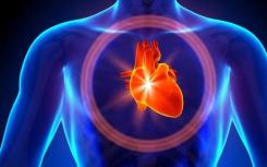 太空飞行激活细胞变化对干细胞心脏修复有影响