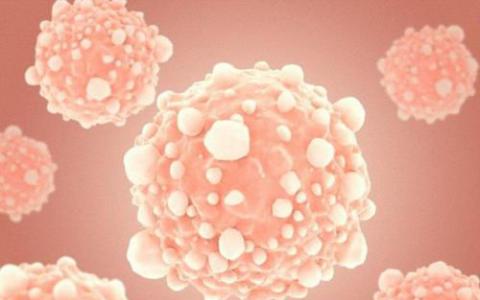 指数测量癌细胞和多能干细胞之间的相似性