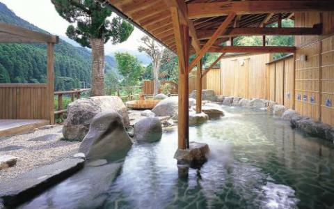 温泉疗法帮助日本的雪猴应对寒冷