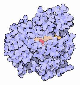 酶发现使得首次微生物生产芳香生物燃料成为可能