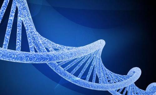 基因治疗领导者敦促全球暂停种系编辑