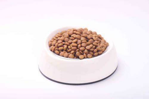 猫粮中过量的磷会损害肾脏