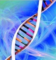研究表明完整的人类基因组的到来
