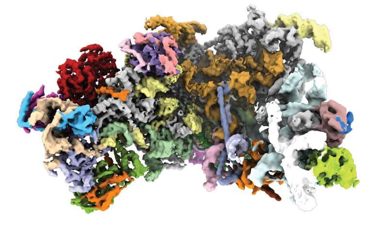 建立制造蛋白质的机器