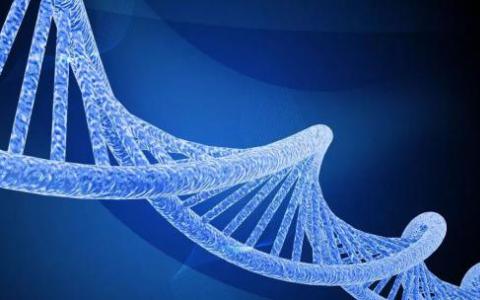 基因治疗领导者敦促全球暂停种系编辑