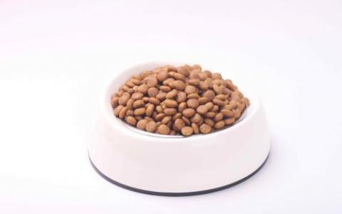 猫粮中过量的磷会损害肾脏