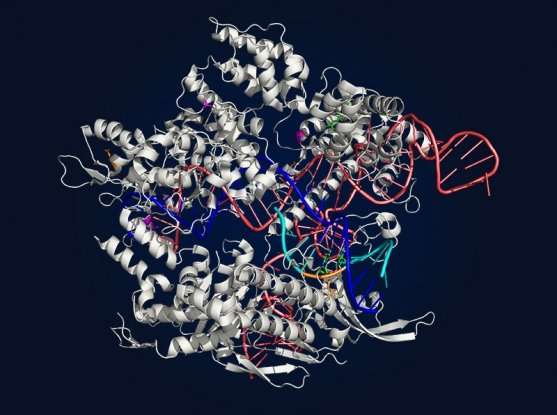 发展出更多功能的CRISPR-Cas9