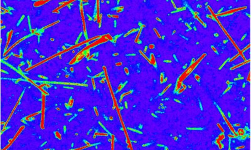 研究人员为“活”极端微生物标记开发染料