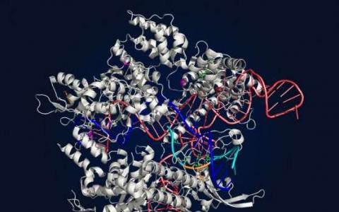 发展出更多功能的CRISPR-Cas9