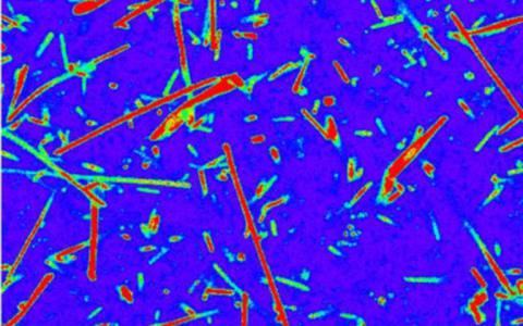 研究人员为“活”极端微生物标记开发染料