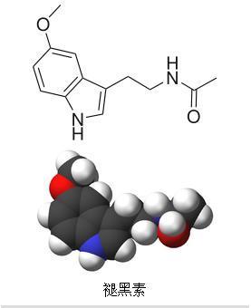 科学家们开发了两种对睡眠和其他生物过程至关重要的褪黑激素受体图谱