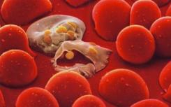 新技术可以让研究人员开发和测试新的抗疟疾药物