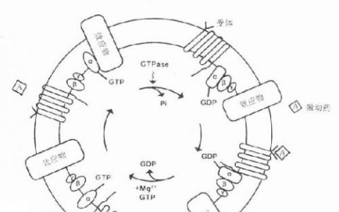 Audentes推出内部cGMP质粒制造工厂