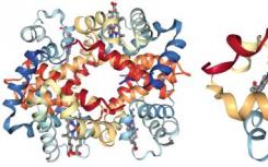 研究人员开发替代方法来揭示蛋白质结构设计新药物