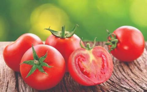 新的'番茄表达图谱'深入到水果的肉体中