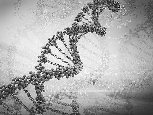 研究人员反驳了遗传学家关于DNA的最普遍的假设之一