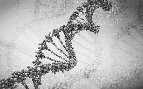 研究人员反驳了遗传学家关于DNA的最普遍的假设之一