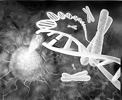 新研究可用于治疗癌症治愈战斗伤口