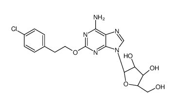 拟南芥 FLL2促进聚腺苷酸化复合物的液液相分离