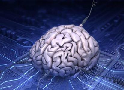 我们的大脑已经发展到可以帮助我们理解大脑的人造大脑