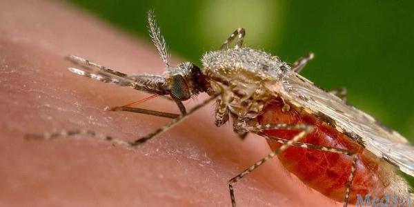 疟疾寄生虫包含从蚊子到人类旅行的遗传物质