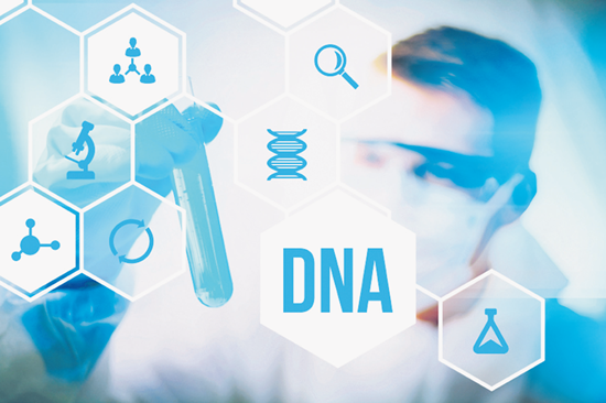 新型生物信息学工具可改善基因鉴定