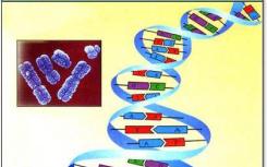 科学家们发现隐藏的遗传变异有助于推动进化