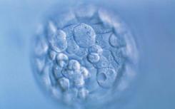 两种蛋白质通过不同方式维持胚胎干细胞多能性