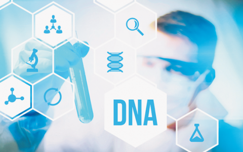 新型生物信息学工具可改善基因鉴定