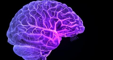 研究人员开发出与脑血管系统结合的新分子